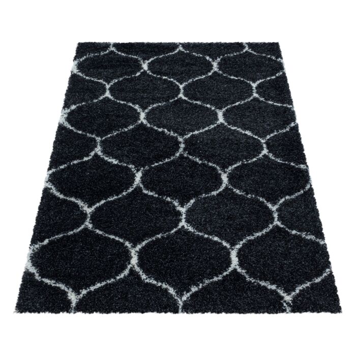 Salsa Shaggy tappeto pelo lungo rettangolo 160x230cm antracite
