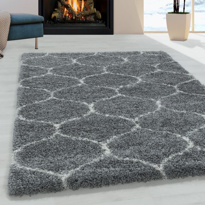 Salsa Shaggy tappeto pelo lungo rettangolo 200x290cm grigio