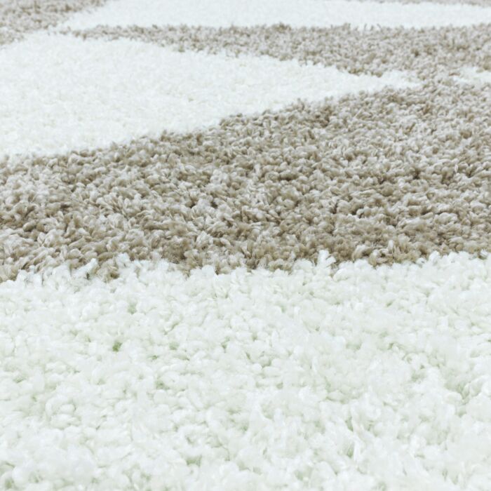 Tango Shaggy tappeto pelo lungo rettangolo 200x290cm beige