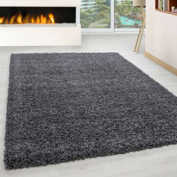 Life Shaggy tappeto pelo lungo rettangolo 240x340cm grigio