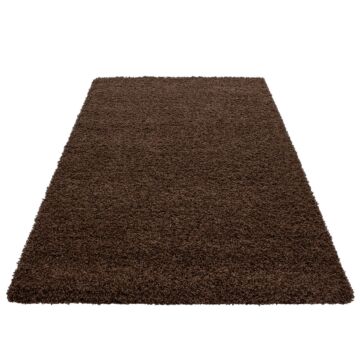 Dream Shaggy tappeto pelo lungo rettangolo 60x110cm marrone